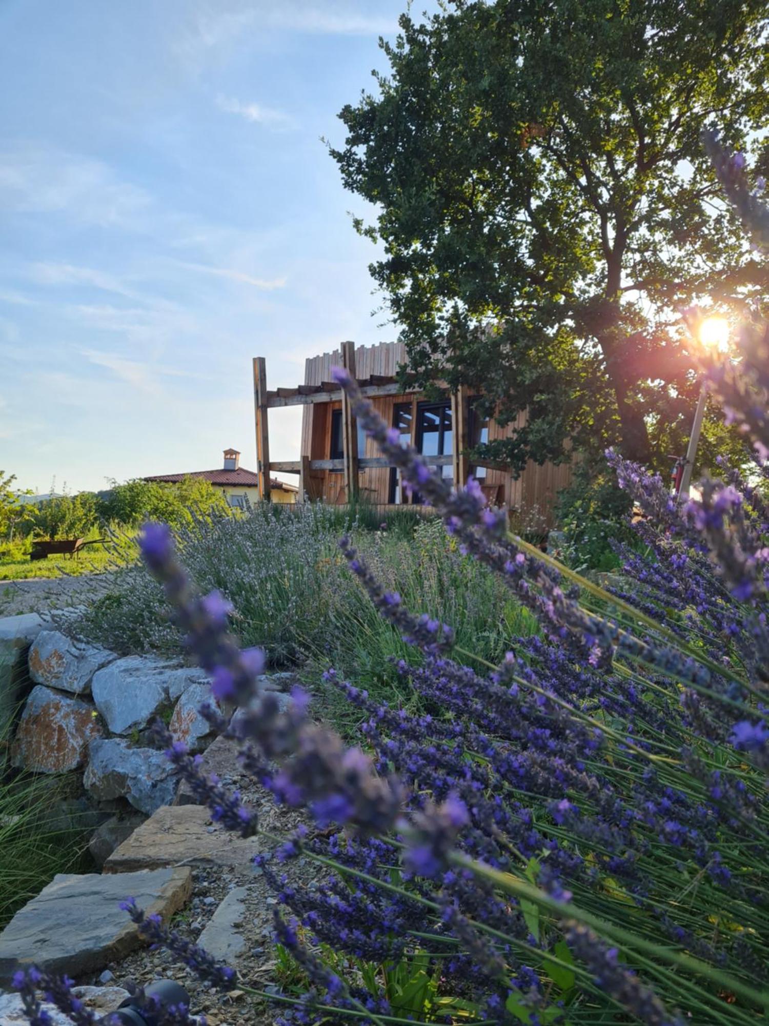 Apartamento Panorama Glamping Vipavska Dolina Dobravlje Exterior foto