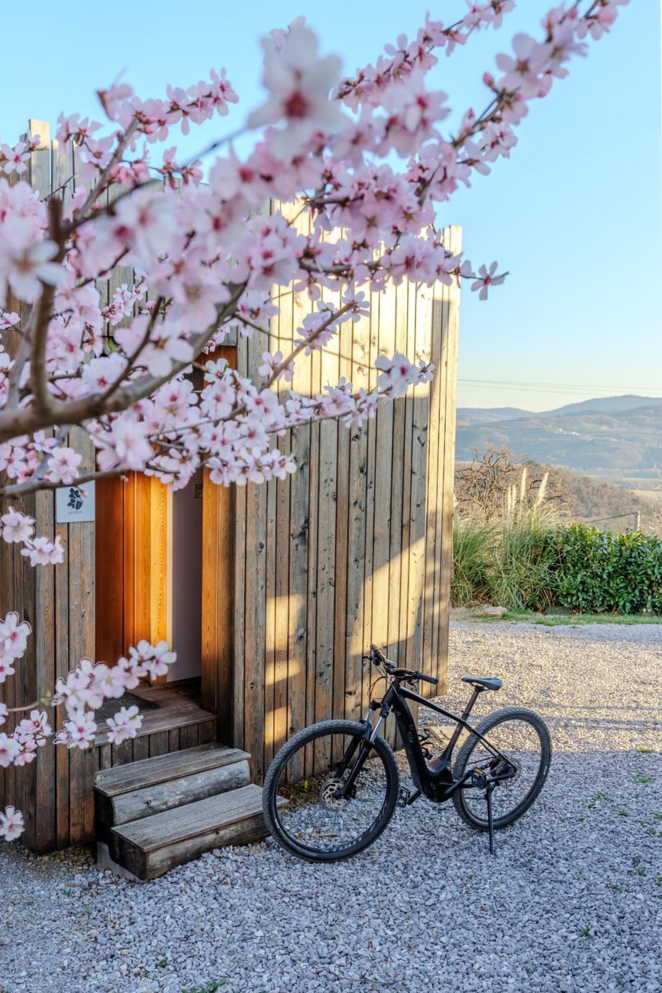 Apartamento Panorama Glamping Vipavska Dolina Dobravlje Exterior foto